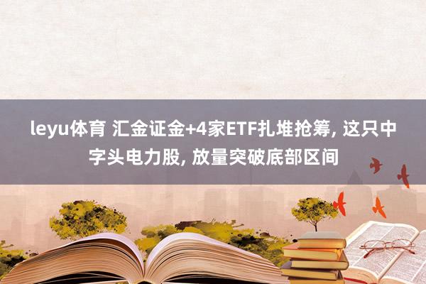 leyu体育 汇金证金+4家ETF扎堆抢筹, 这只中字头电力股, 放量突破底部区间