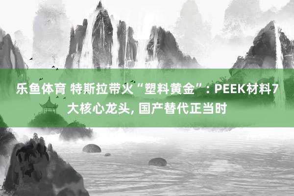乐鱼体育 特斯拉带火“塑料黄金”: PEEK材料7大核心龙头, 国产替代正当时