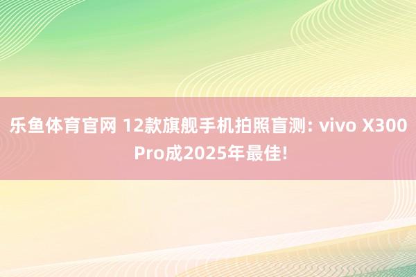 乐鱼体育官网 12款旗舰手机拍照盲测: vivo X300 Pro成2025年最佳!
