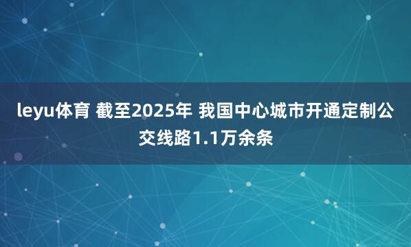 leyu体育 截至2025年 我国中心城市开通定制公交线路1.1万余条