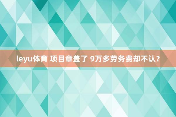 leyu体育 项目章盖了 9万多劳务费却不认？