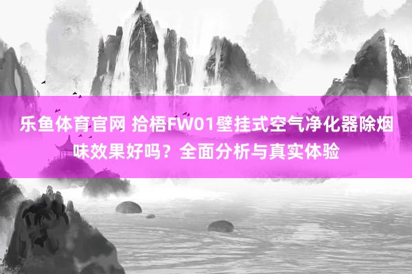 乐鱼体育官网 拾梧FW01壁挂式空气净化器除烟味效果好吗？全面分析与真实体验