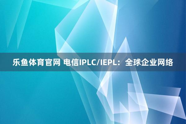 乐鱼体育官网 电信IPLC/IEPL:全球企业网络
