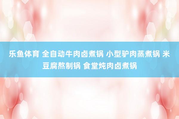 乐鱼体育 全自动牛肉卤煮锅 小型驴肉蒸煮锅 米豆腐熬制锅 食堂炖肉卤煮锅
