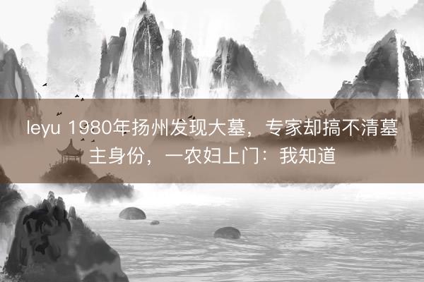 leyu 1980年扬州发现大墓,专家却搞不清墓主身份,一农妇上门:我知道