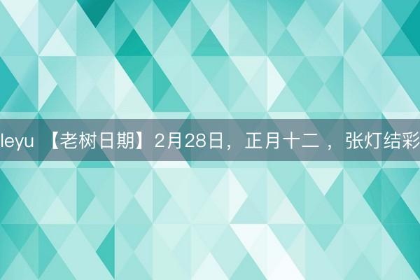 leyu 【老树日期】2月28日,正月十二 ,张灯结彩