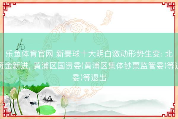 乐鱼体育官网 新寰球十大明白激动形势生变: 北向资金新进， 黄浦区国资委(黄浦区集体钞票监管委)等退出