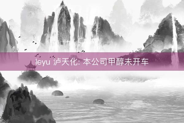 leyu 泸天化: 本公司甲醇未开车