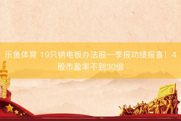 乐鱼体育 19只钠电板办法股一季报功绩报喜！4股市盈率不到30倍