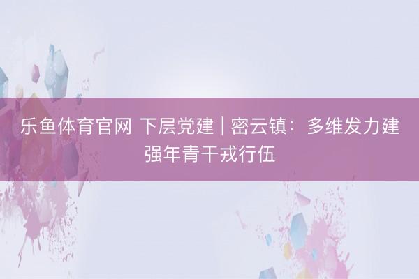 乐鱼体育官网 下层党建 | 密云镇：多维发力建强年青干戎行伍